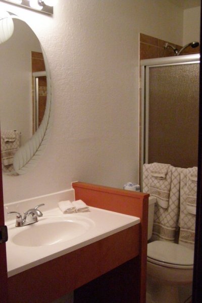 Oval Mirror Bathroom